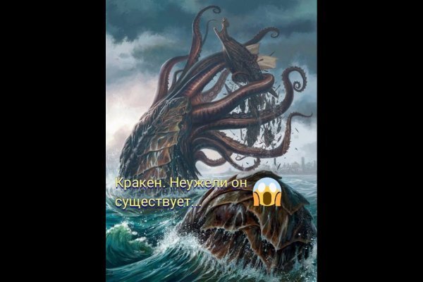 Kraken найдется все